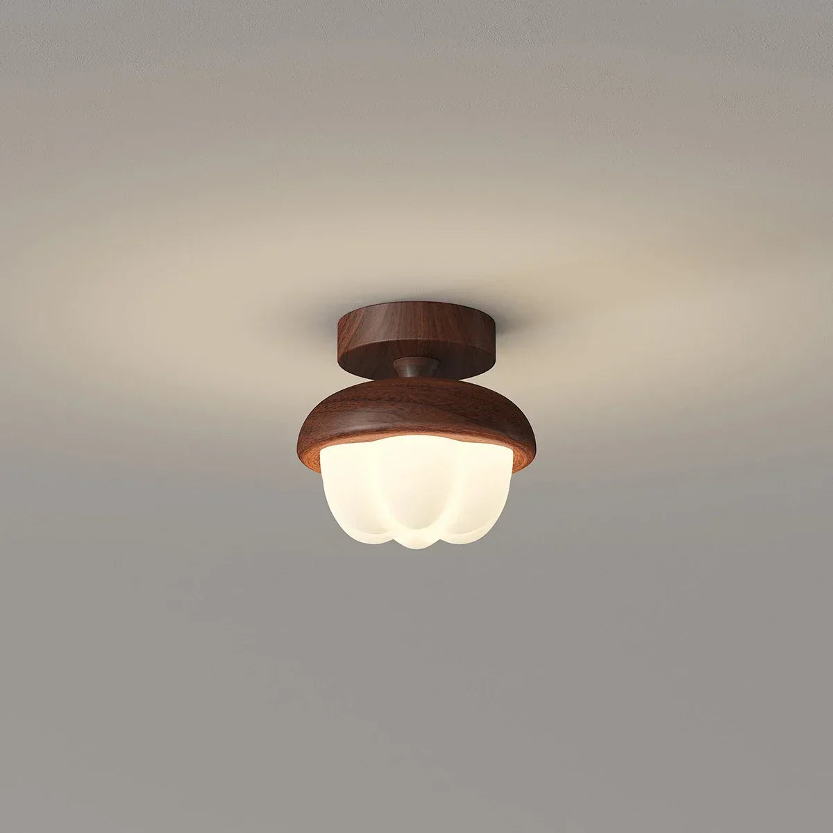 Cirevan – Ceiling Lamp