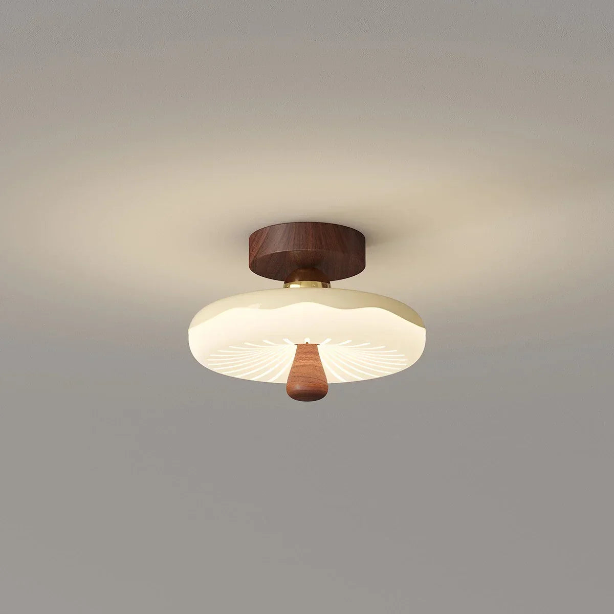 Cirevan – Ceiling Lamp