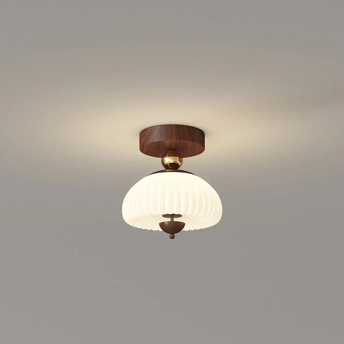 Cirevan – Ceiling Lamp
