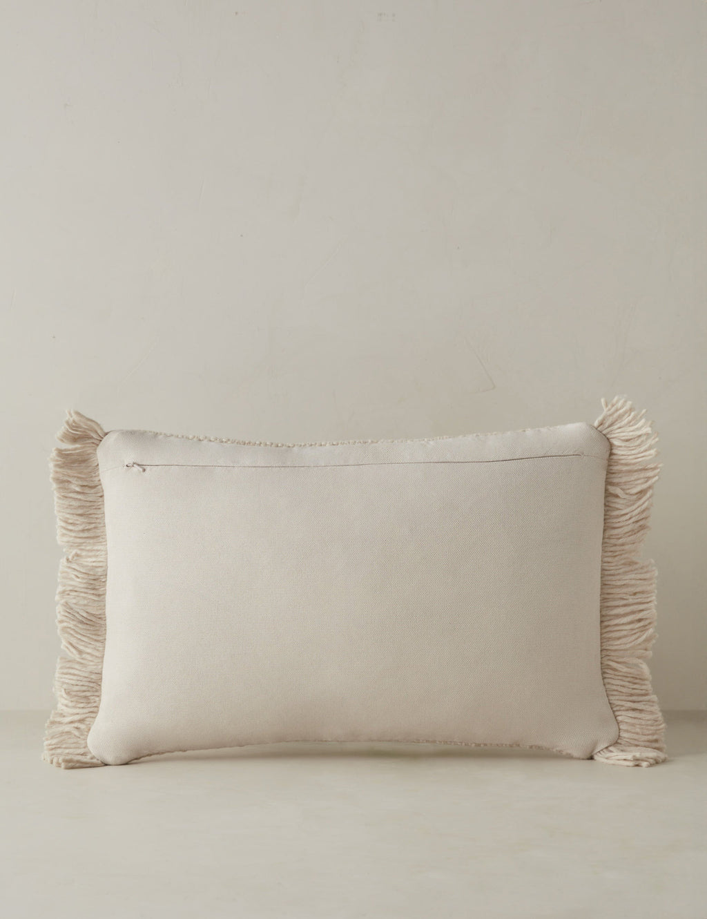 Talon Indoor/Outdoor Pillow | Chunky Fibers, Generous Fringe