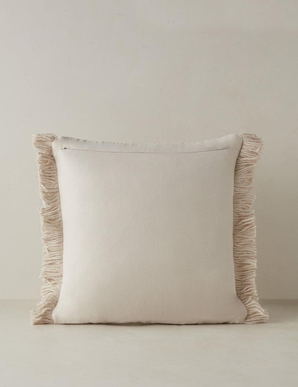 Talon Indoor/Outdoor Pillow | Chunky Fibers, Generous Fringe
