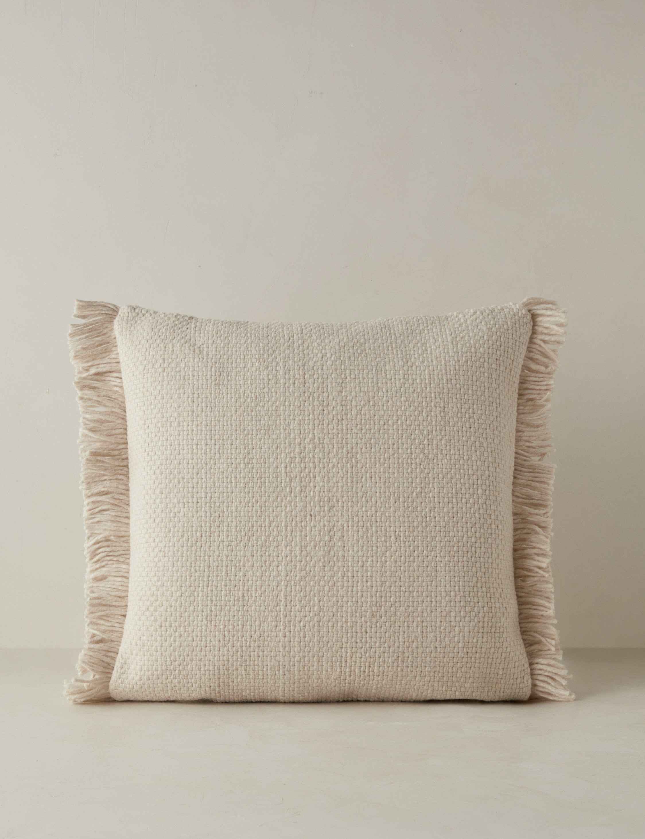 Talon Indoor/Outdoor Pillow | Chunky Fibers, Generous Fringe