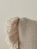 Talon Indoor/Outdoor Pillow | Chunky Fibers, Generous Fringe