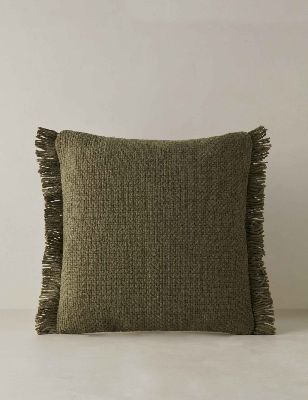 Talon Indoor/Outdoor Pillow | Chunky Fibers, Generous Fringe