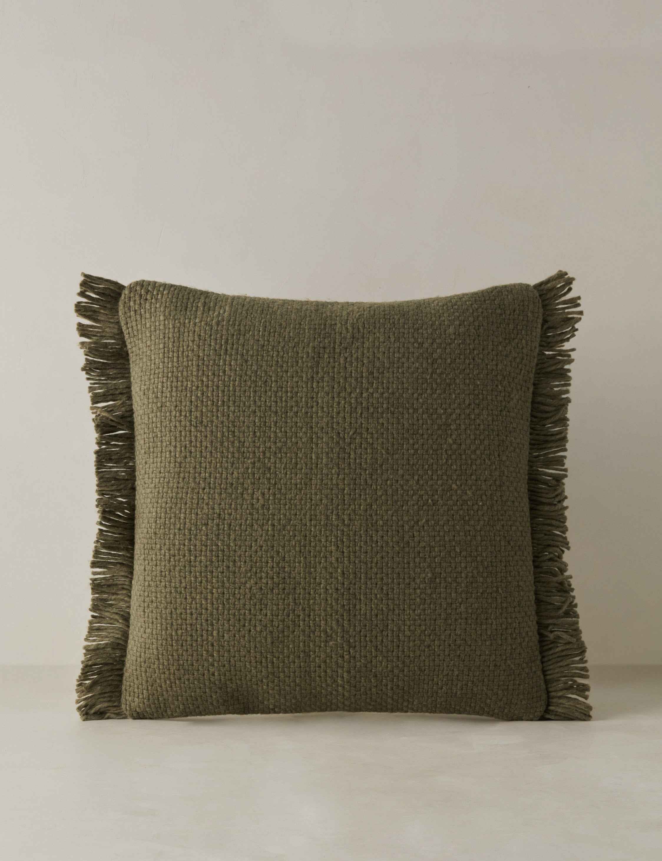 Talon Indoor/Outdoor Pillow | Chunky Fibers, Generous Fringe