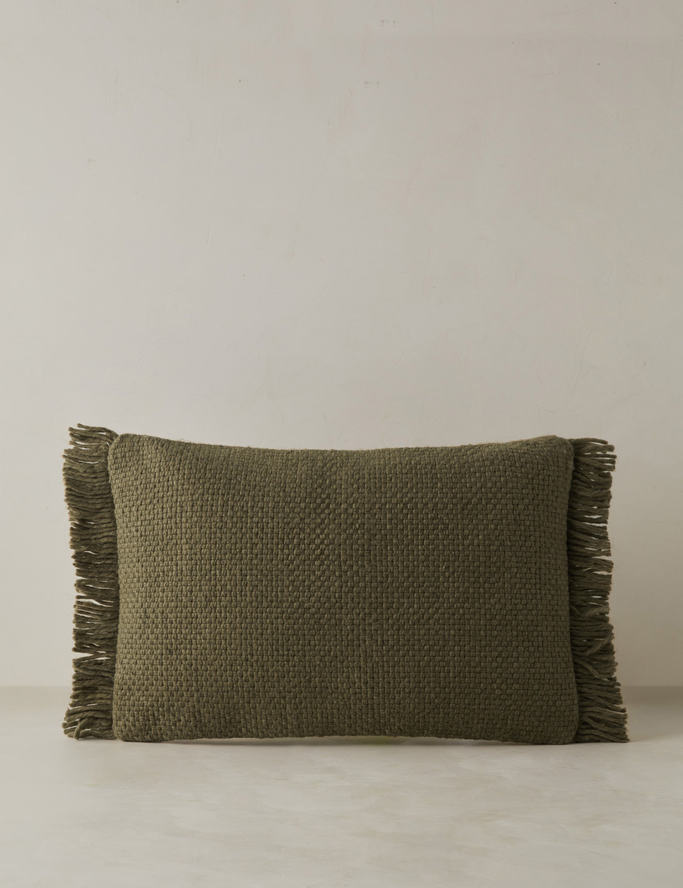 Talon Indoor/Outdoor Pillow | Chunky Fibers, Generous Fringe