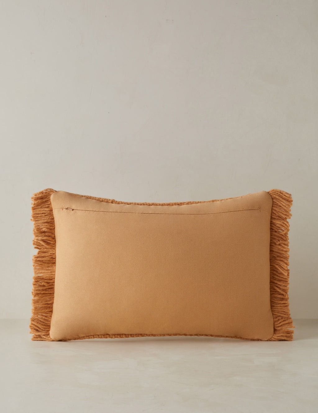 Talon Indoor/Outdoor Pillow | Chunky Fibers, Generous Fringe