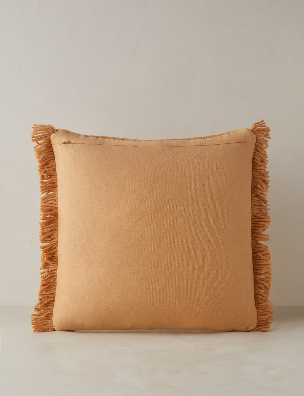 Talon Indoor/Outdoor Pillow | Chunky Fibers, Generous Fringe
