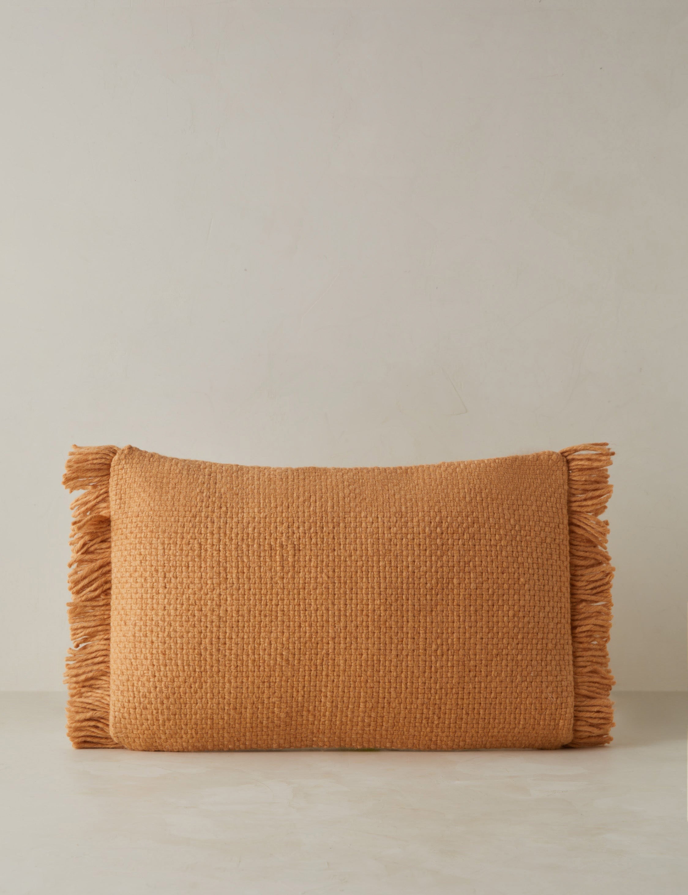 Talon Indoor/Outdoor Pillow | Chunky Fibers, Generous Fringe
