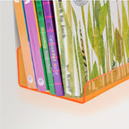 TranspaStil: Decorative Wall Shelves – Robust, Easy to Care for & Hanging in Contemporary Design for Living Room & Kitchen