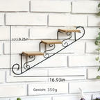 StairDesign: Wall Shelf Metal – decorative, robust & hanging in stair design for plants & living room