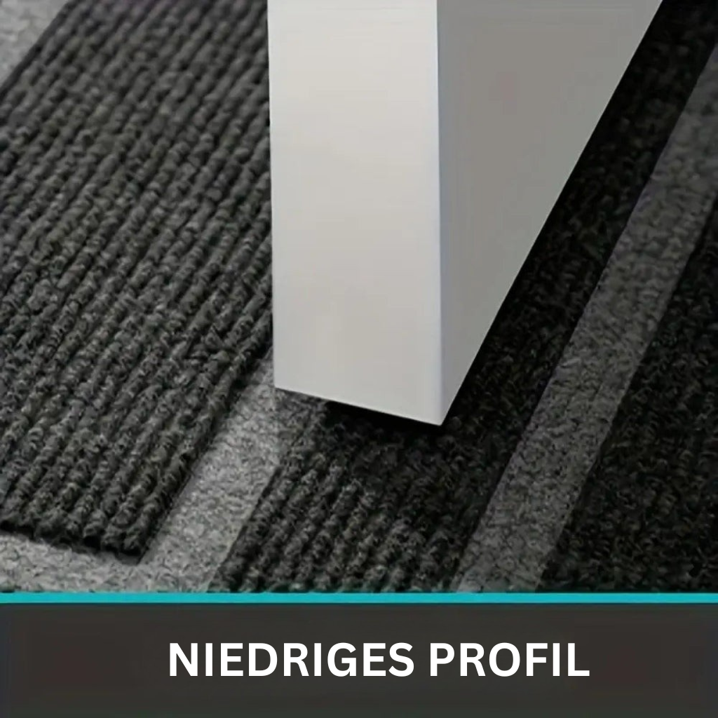 DryStep: Modern Doormat – Lightweight, Washable & Decorative for Hallway, Patio & Entrance Area