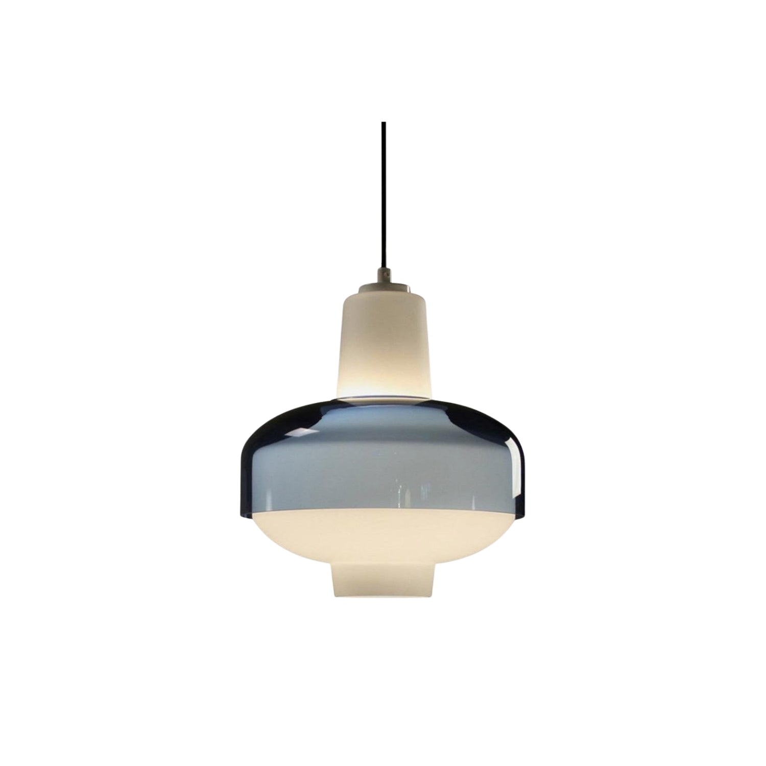 Elyssor – Glass Hanging Lamp with Layered Natural Shape Design