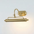Swan-Neck Adjustable Picture Wall Light in Copper
