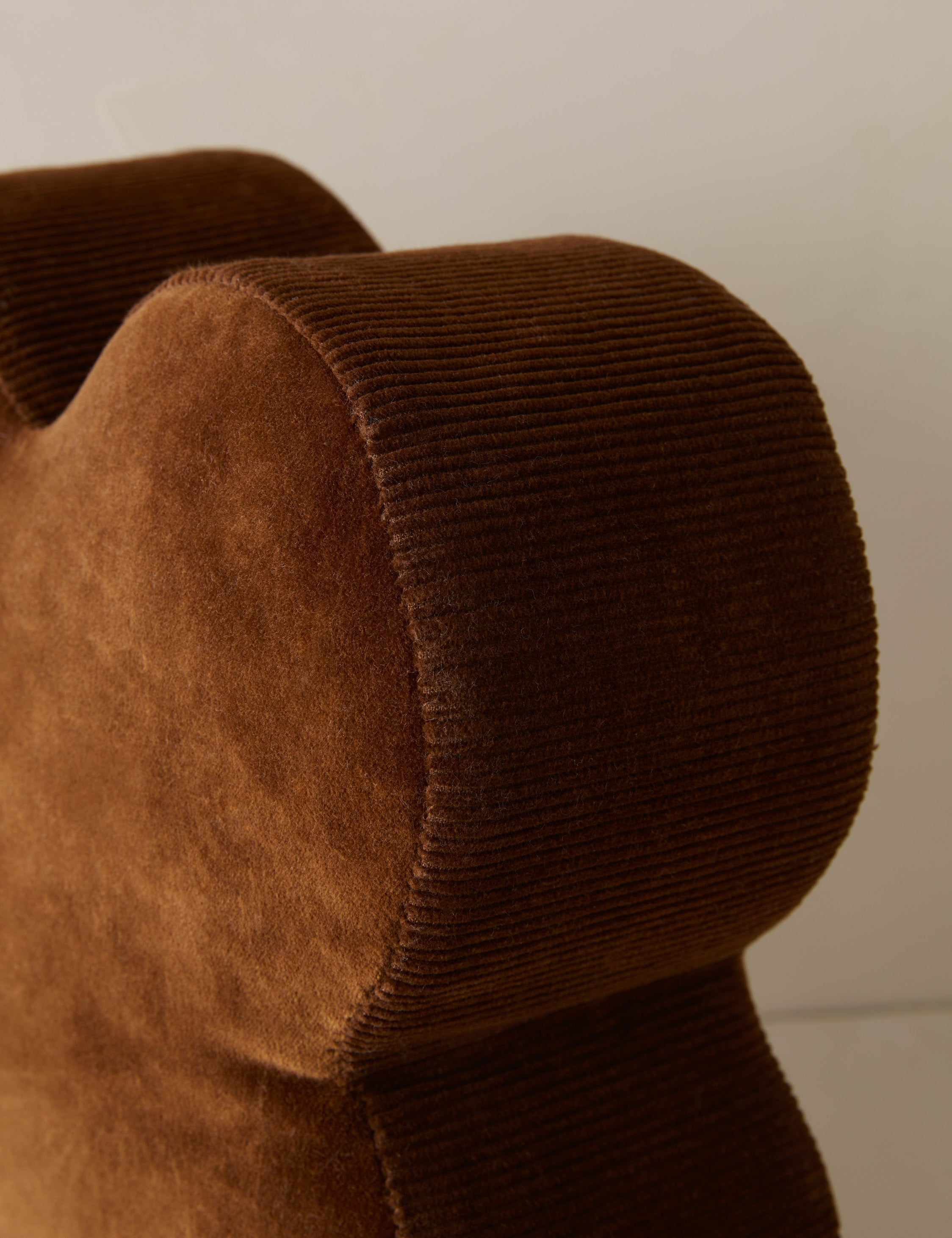 Luxe Clover Pillow | Soft Velvet, Playful Shape