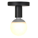 Flush Mount Ceiling Light, Metal, 220V, Exposed Bulb