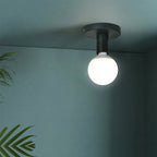 Flush Mount Ceiling Light, Metal, 220V, Exposed Bulb