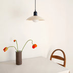 VivaRetro: Colorful Pendant Light Metal – Colorful LED Hanging Lamp for Dining Room & Kitchen