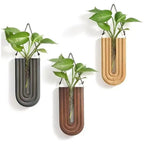 Wall-Mounted Vase Holder, Solid Wood Frame, Glass Tube Insert, Hanging Design