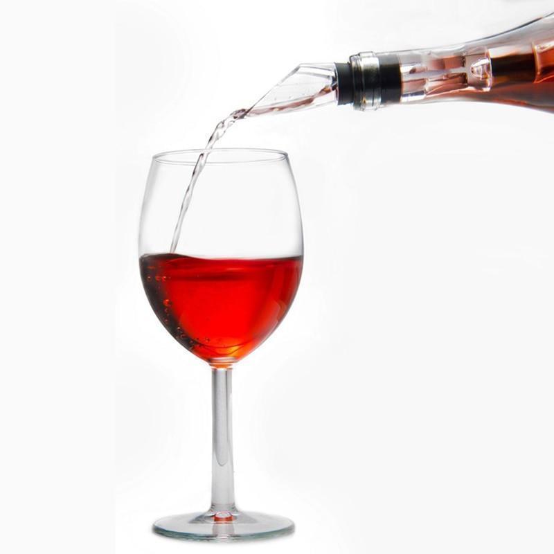 Wine Chiller Stainless Steel 2 in 1 Bottle Cooler Pourer
