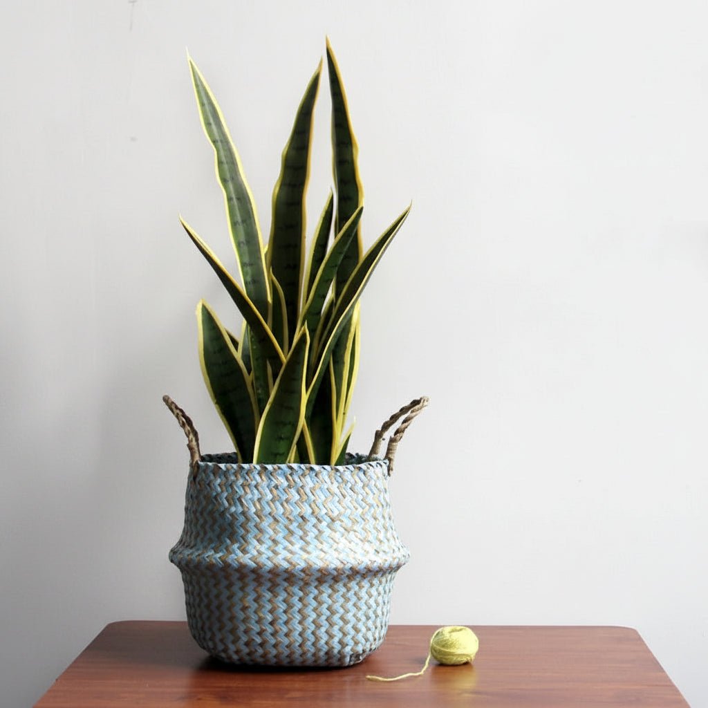 Woven Plant Basket Foldable Straw Storage Basket