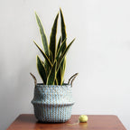 Woven Plant Basket Foldable Straw Storage Basket
