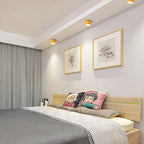 ZylisLight: Cylindrical LED Ceiling Light for Hallway, Kitchen & Living Room