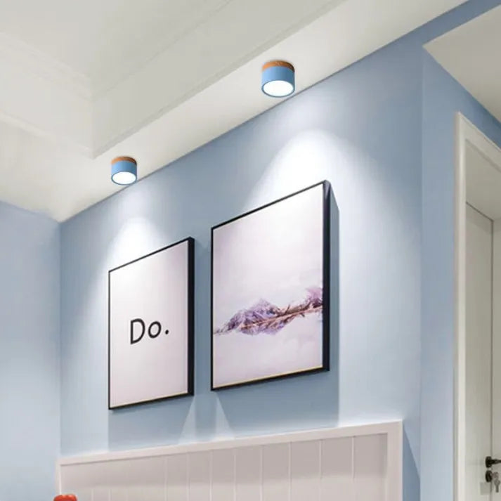 ZylisLight: Cylindrical LED Ceiling Light for Hallway, Kitchen & Living Room