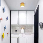 ZylisLight: Cylindrical LED Ceiling Light for Hallway, Kitchen & Living Room