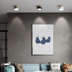 ZylisLight: Cylindrical LED Ceiling Light for Hallway, Kitchen & Living Room