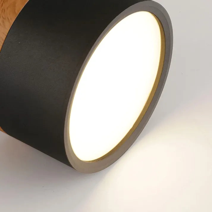 ZylisLight: Cylindrical LED Ceiling Light for Hallway, Kitchen & Living Room