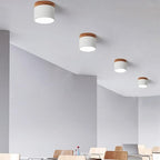 ZylisLight: Cylindrical LED Ceiling Light for Hallway, Kitchen & Living Room