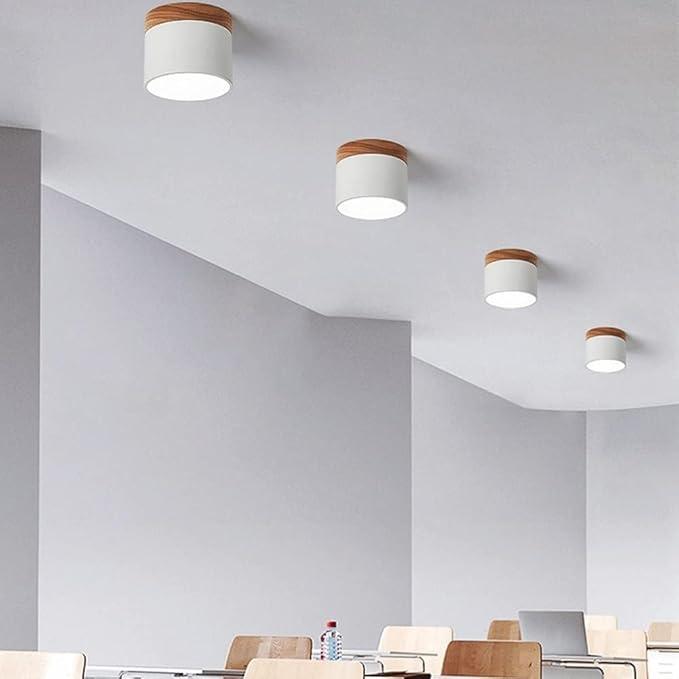 ZylisLight: Cylindrical LED Ceiling Light for Hallway, Kitchen & Living Room