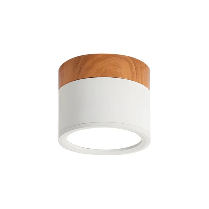 ZylisLight: Cylindrical LED Ceiling Light for Hallway, Kitchen & Living Room