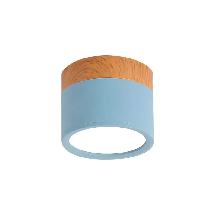 ZylisLight: Cylindrical LED Ceiling Light for Hallway, Kitchen & Living Room