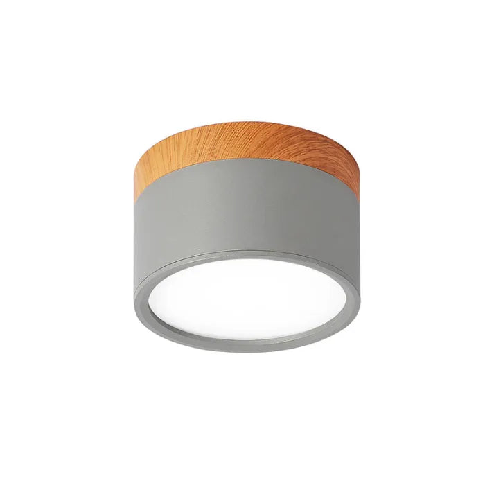 ZylisLight: Cylindrical LED Ceiling Light for Hallway, Kitchen & Living Room