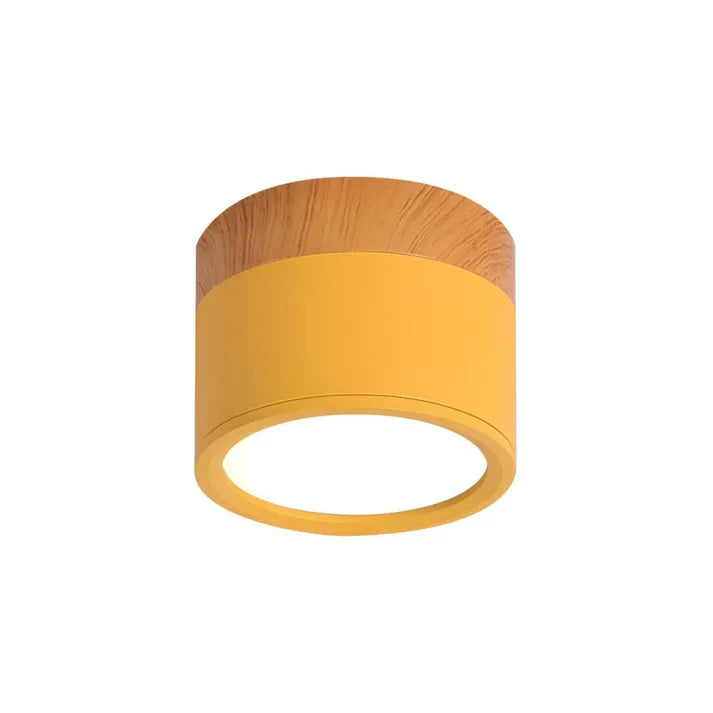 ZylisLight: Cylindrical LED Ceiling Light for Hallway, Kitchen & Living Room