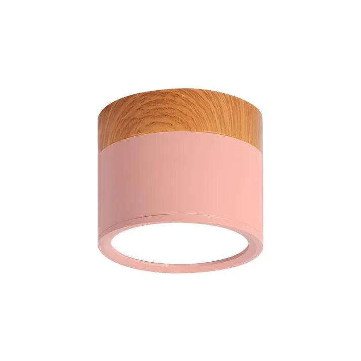 ZylisLight: Cylindrical LED Ceiling Light for Hallway, Kitchen & Living Room
