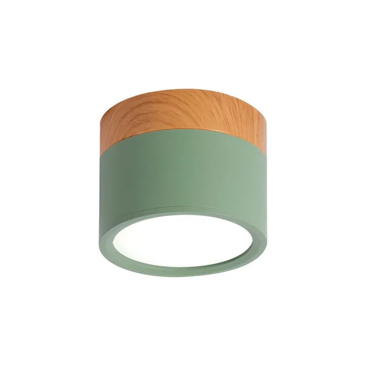 ZylisLight: Cylindrical LED Ceiling Light for Hallway, Kitchen & Living Room