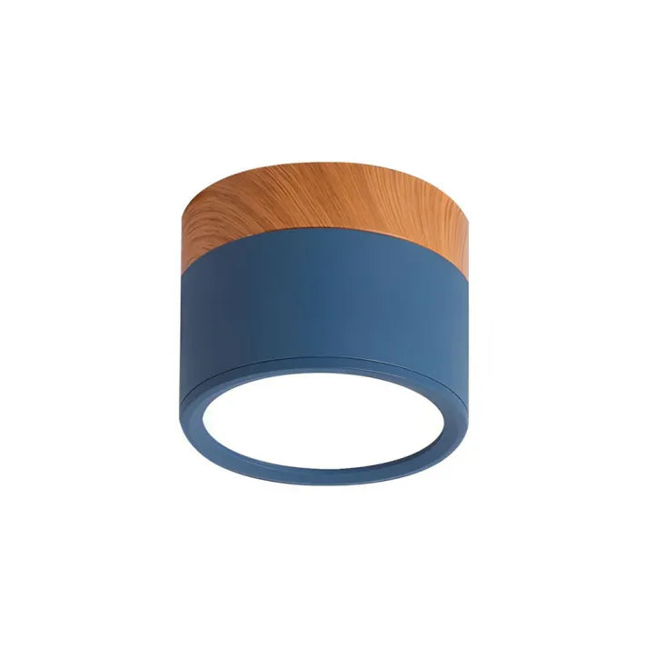 ZylisLight: Cylindrical LED Ceiling Light for Hallway, Kitchen & Living Room