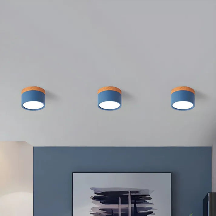 ZylisLight: Cylindrical LED Ceiling Light for Hallway, Kitchen & Living Room