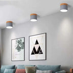 ZylisLight: Cylindrical LED Ceiling Light for Hallway, Kitchen & Living Room