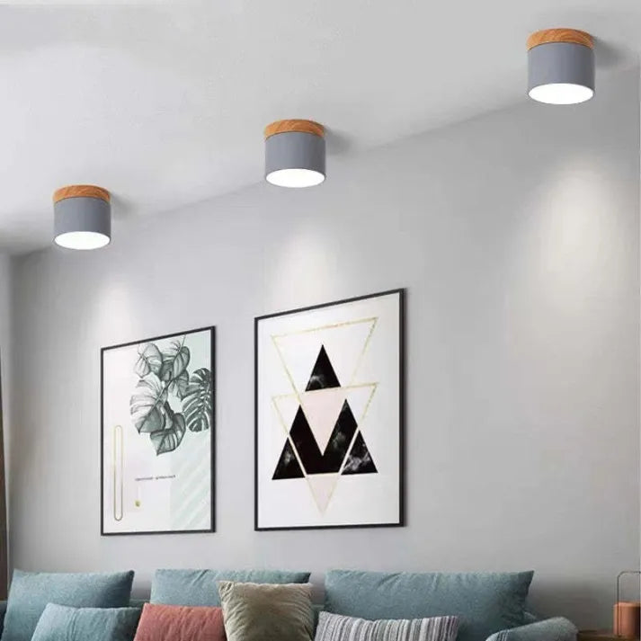 ZylisLight: Cylindrical LED Ceiling Light for Hallway, Kitchen & Living Room