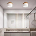 ZylisLight: Cylindrical LED Ceiling Light for Hallway, Kitchen & Living Room