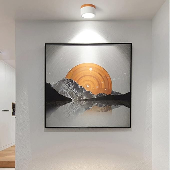 ZylisLight: Cylindrical LED Ceiling Light for Hallway, Kitchen & Living Room