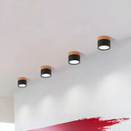 ZylisLight: Cylindrical LED Ceiling Light for Hallway, Kitchen & Living Room