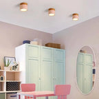 ZylisLight: Cylindrical LED Ceiling Light for Hallway, Kitchen & Living Room