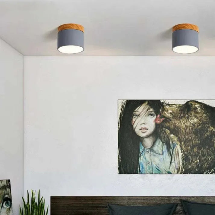 ZylisLight: Cylindrical LED Ceiling Light for Hallway, Kitchen & Living Room