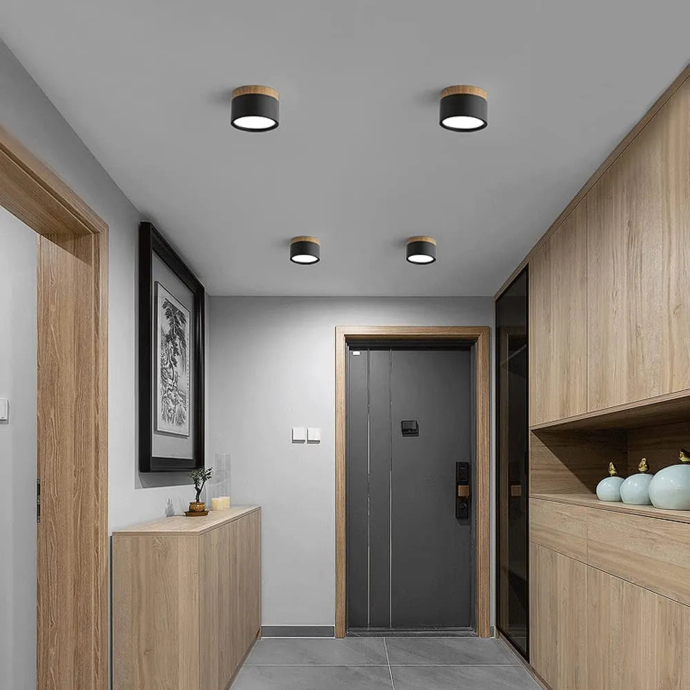 ZylisLight: Cylindrical LED Ceiling Light for Hallway, Kitchen & Living Room