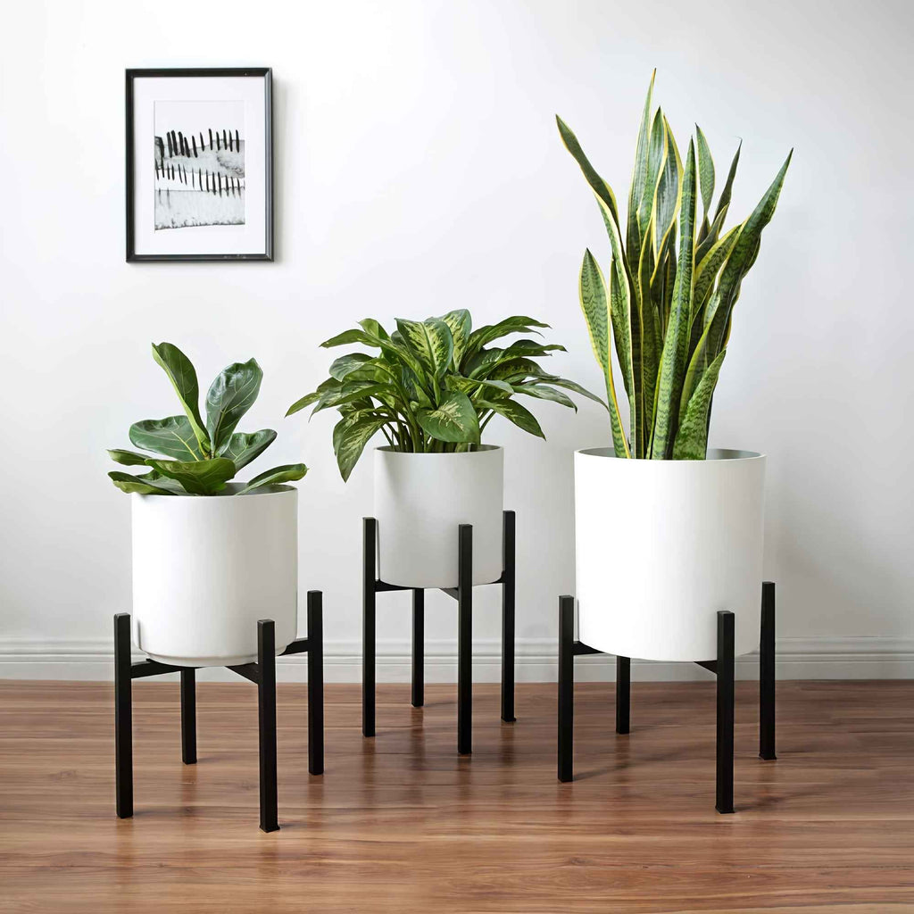 Bela Adjustable Metal Plant Stand | Rust-Resistant, Dual Height